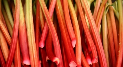 rhubarb