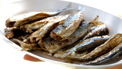 Sardines