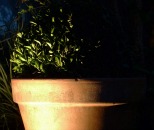 plant pot