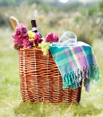 Picnic week