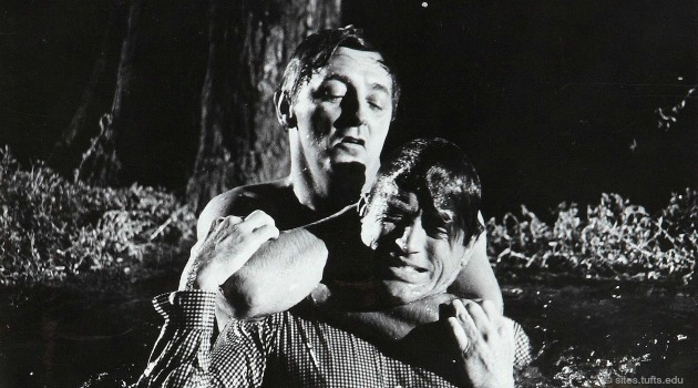 cape fear