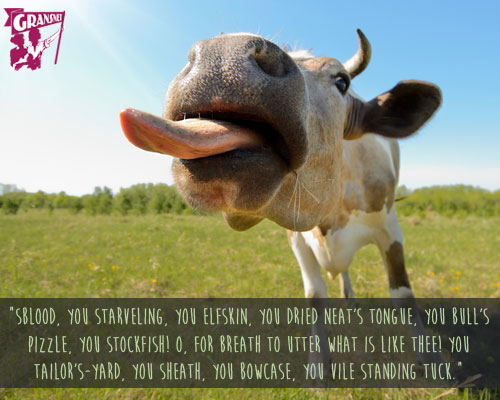 cow