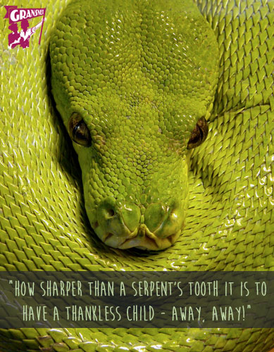 snake