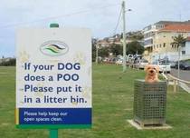 User post image