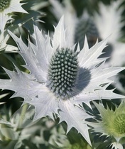 User post image