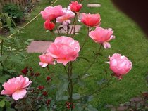 User post image