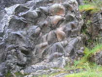 User post image
