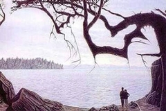 User post image