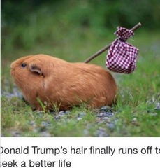 User post image