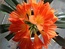 User post image