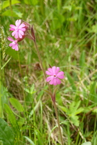 User post image