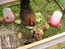 User post image
