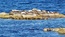 User post image