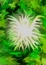 User post image
