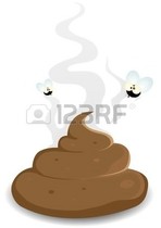 User post image