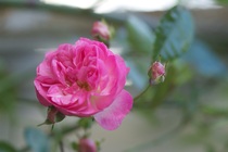 User post image