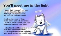User post image