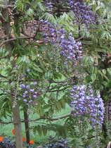 User post image