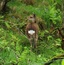 User post image