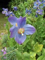 User post image