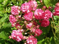 User post image
