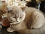 User post image