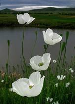 User post image