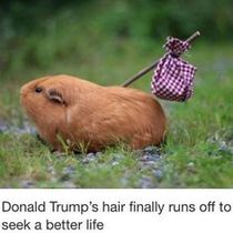 User post image