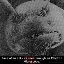 User post image
