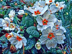 User post image