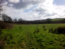User post image