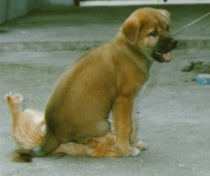 User post image