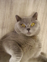 User post image