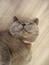 User post image