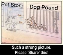 User post image