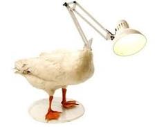 User post image