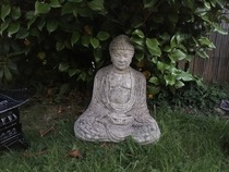 User post image