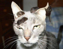 User post image