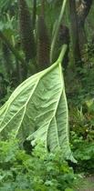 User post image