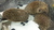 User post image