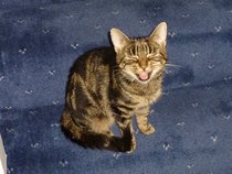 User post image