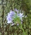 User post image