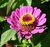 User post image