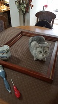 User post image