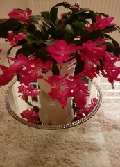 User post image