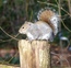 User post image