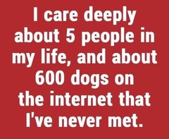 User post image