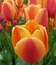 User post image
