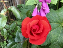 User post image