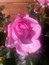 User post image